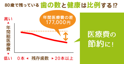 80歳で残っている歯の数と健康は比例する！？